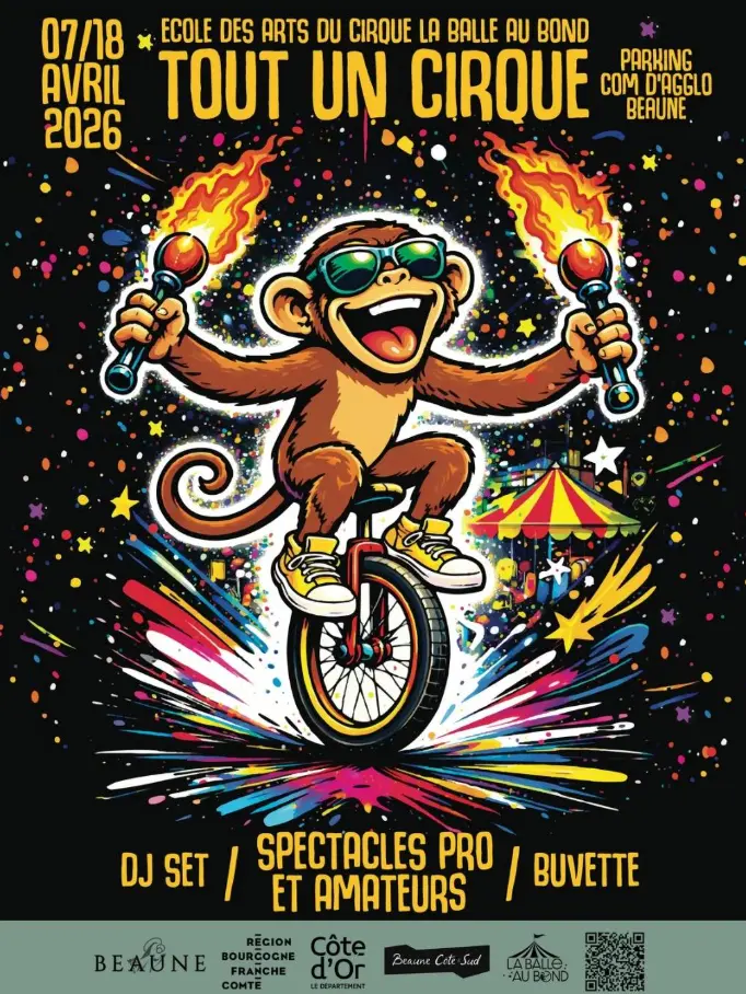 Ecole des arts du cirque La Balle au Bond