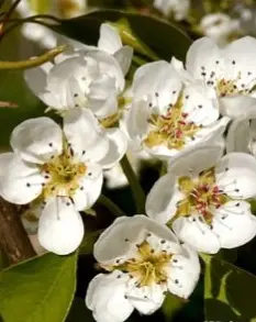 48h de l'agriculture urbaine au Bois Gourmand