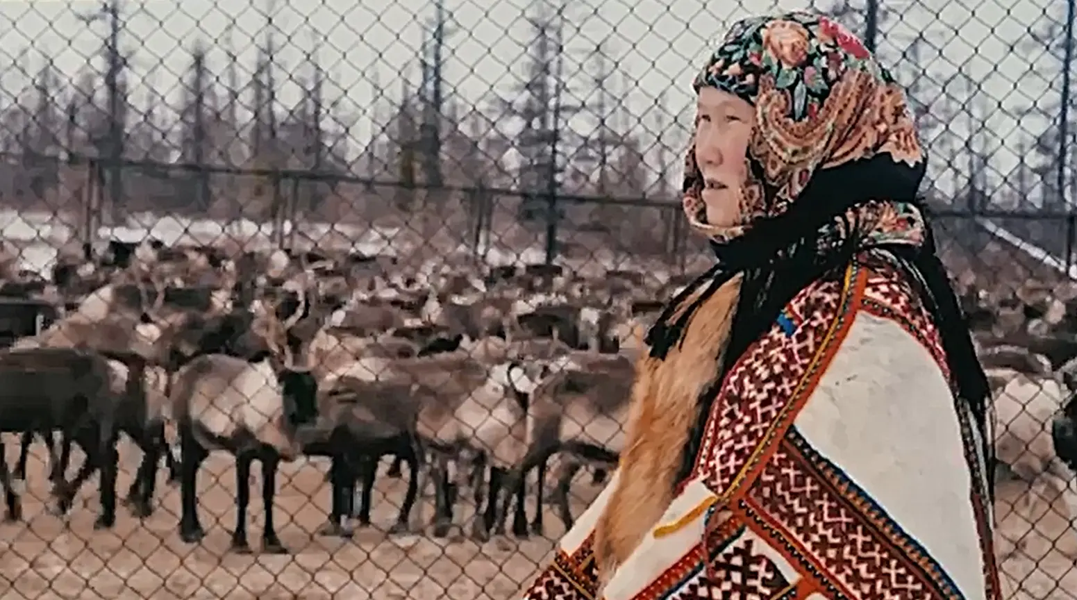 Capture plein écran 13112025 102931.bmp