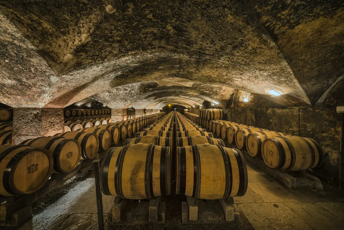 Château de Meursault - Caves