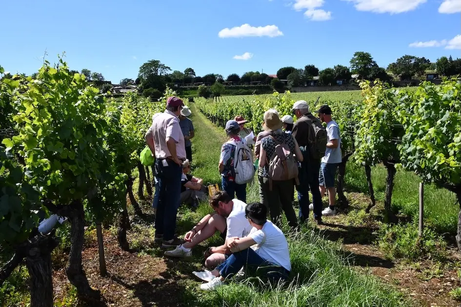 La clé des sols - Karoline Knoth et Françoise Vannier