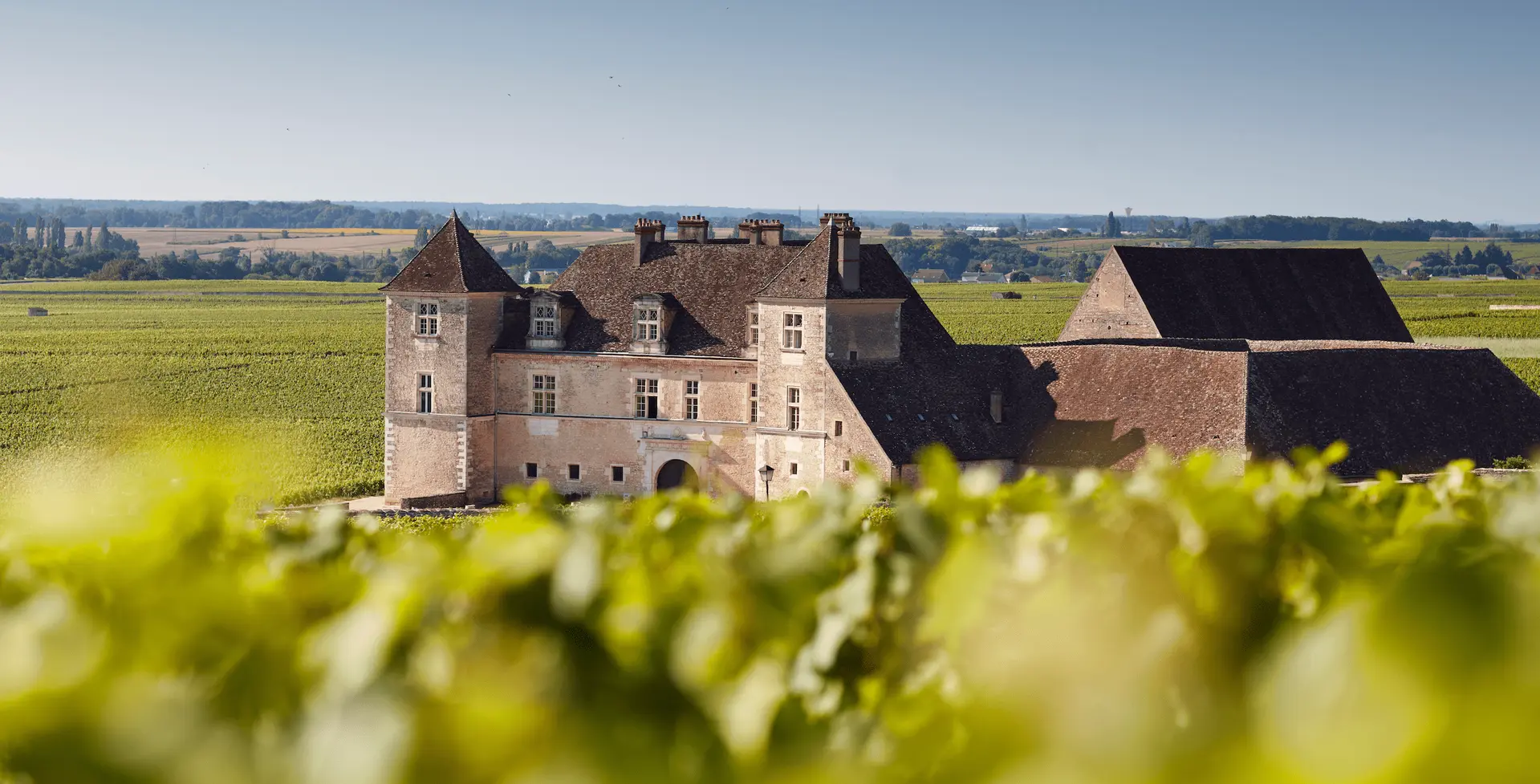 Clos-Vougeot-SergeChapuis