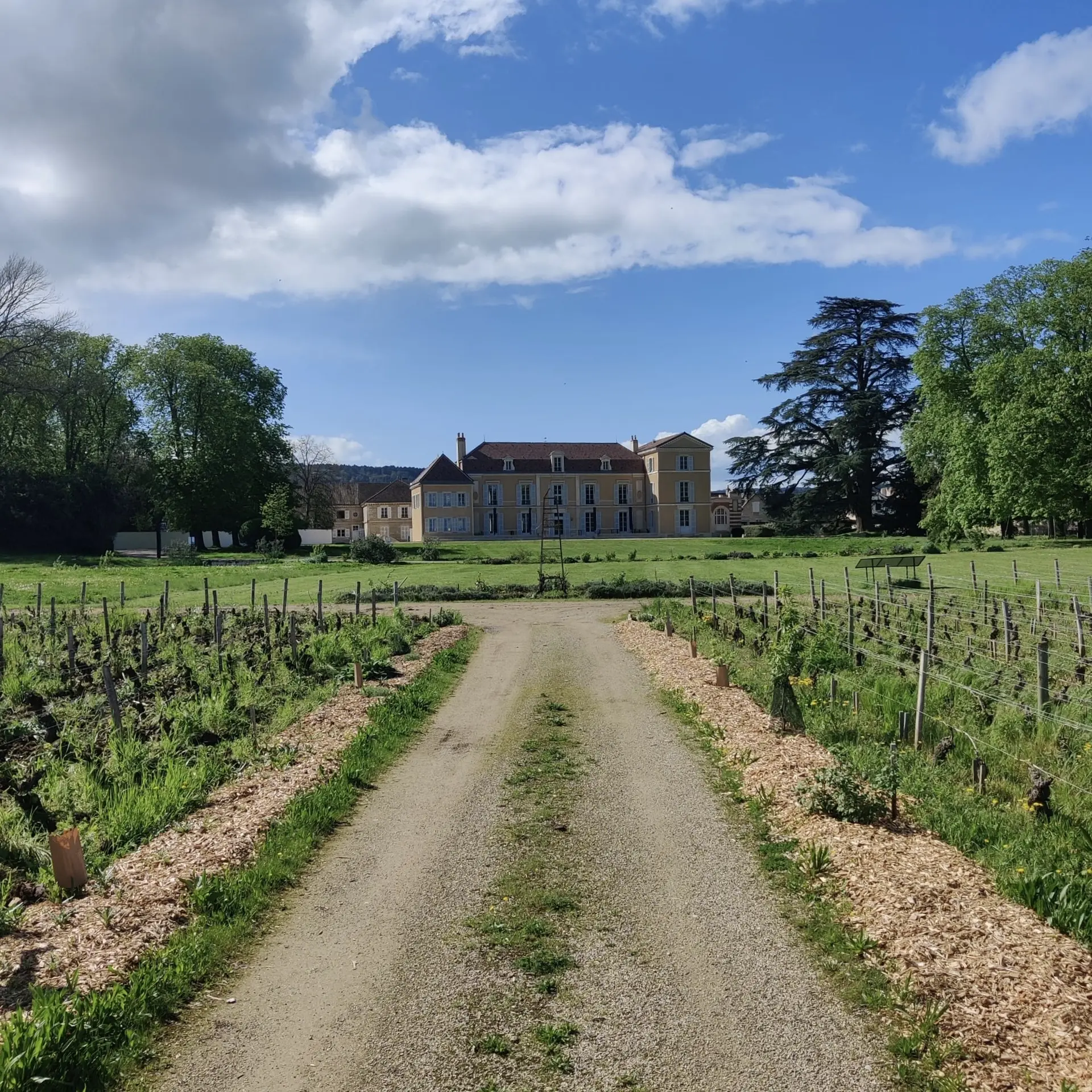 Clos-du-Chateau + Chateau
