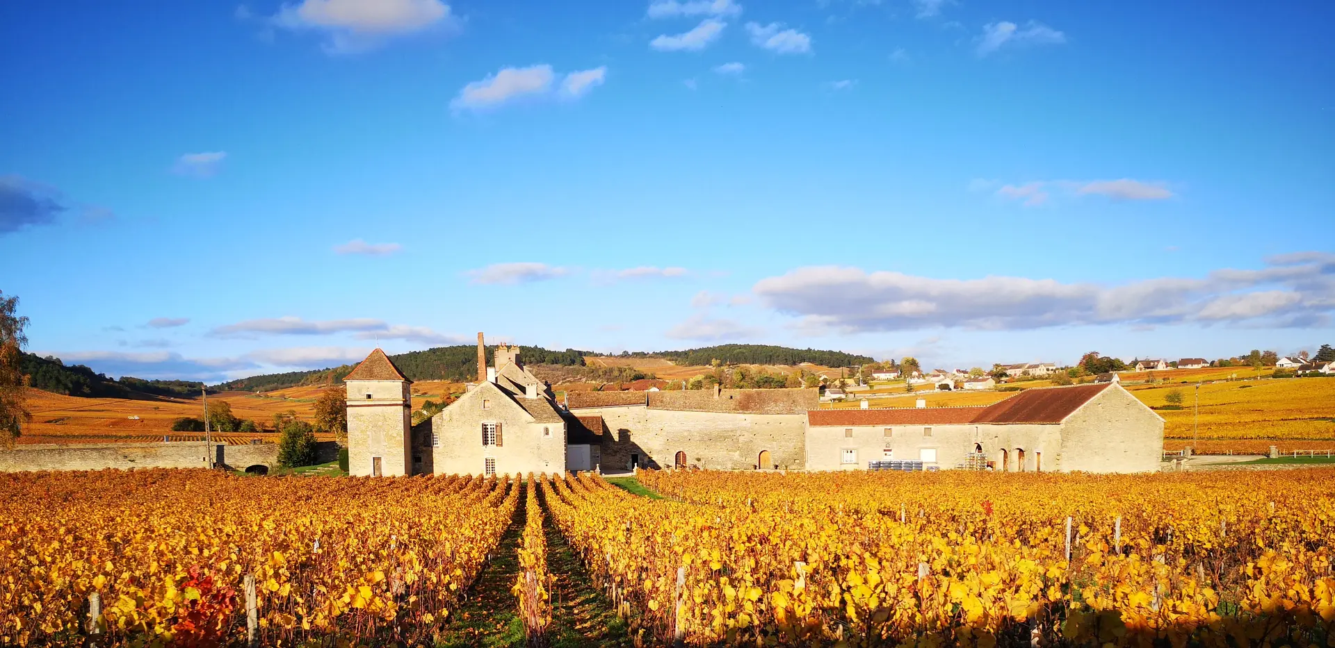 Clos du Moulin aux Moine, vue d'automne