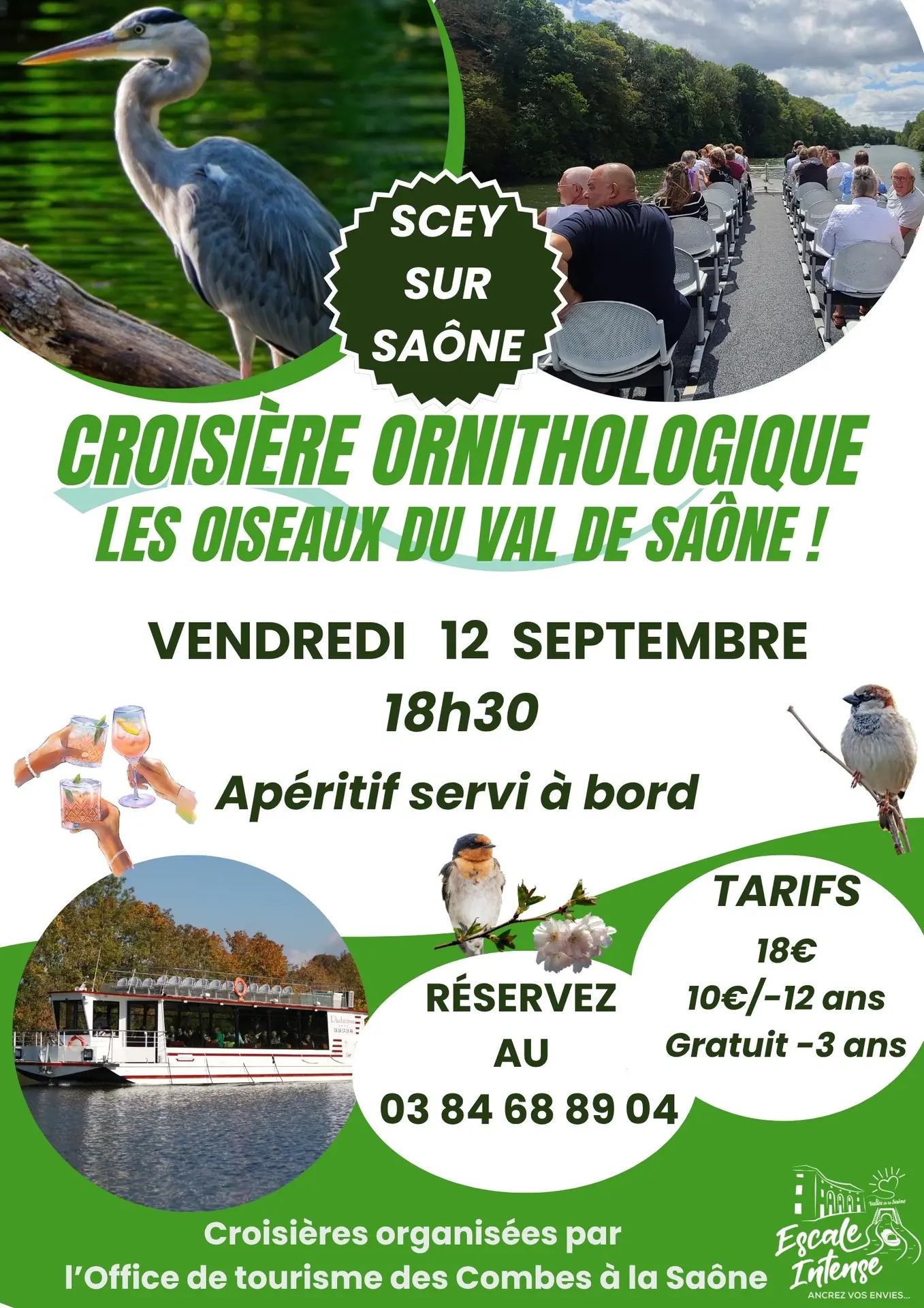 Croisières - 9