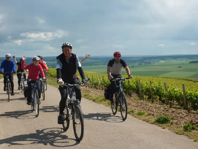 Cyclistes vigne France à vélo