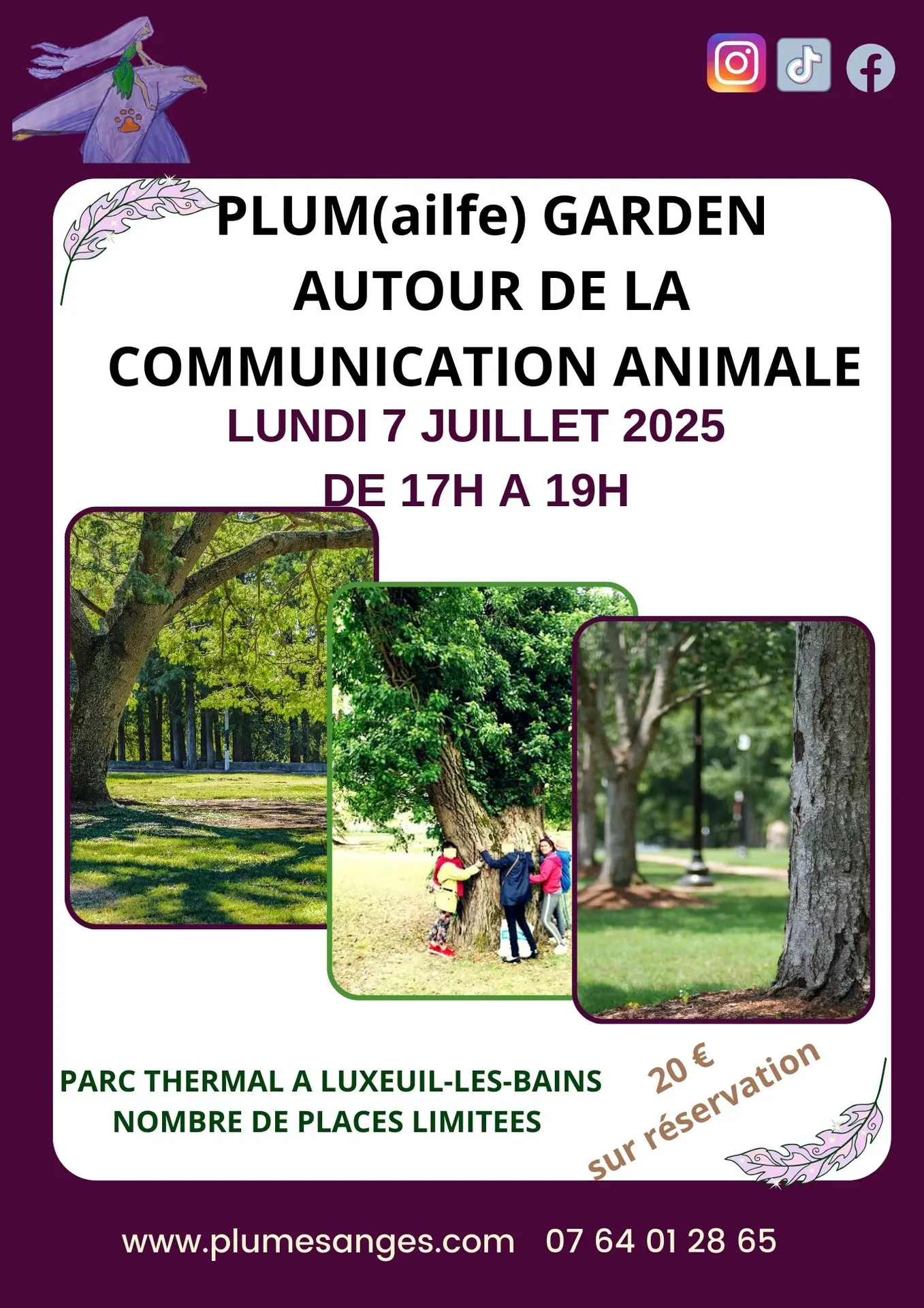 ATELIER RENCONTRE COMMUNICATION ANIMALE LUXEUIL LES BAINS PLUMES D'ANGES juillet
