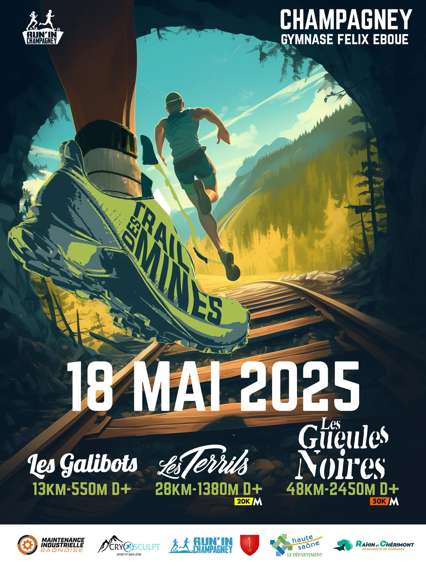Affiche TDM25