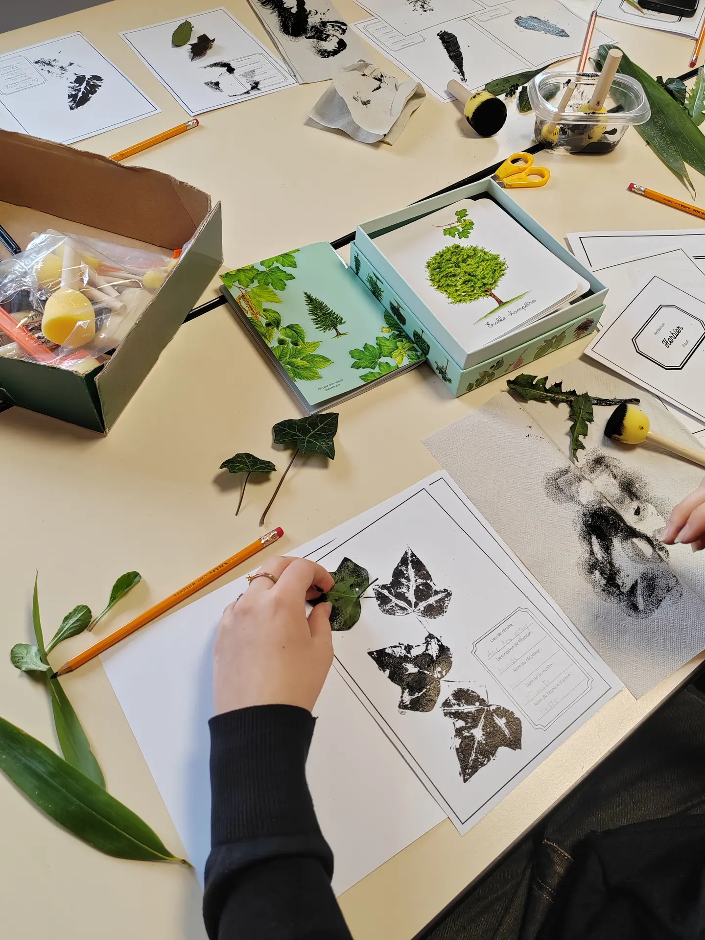 Atelier 7-12 ans / Atelier herbier / Artiste botaniste