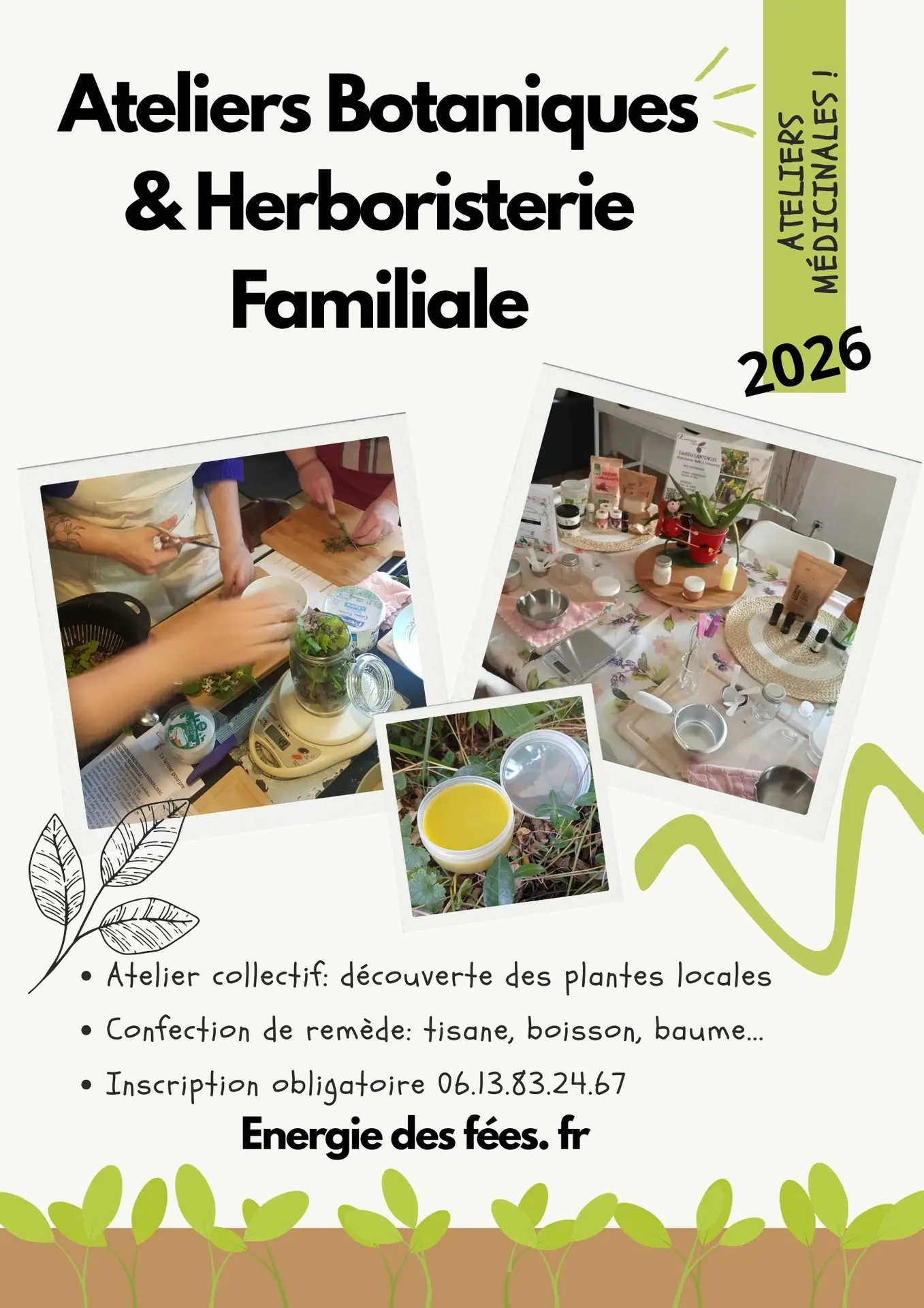 Atelier Plantes médicinales
