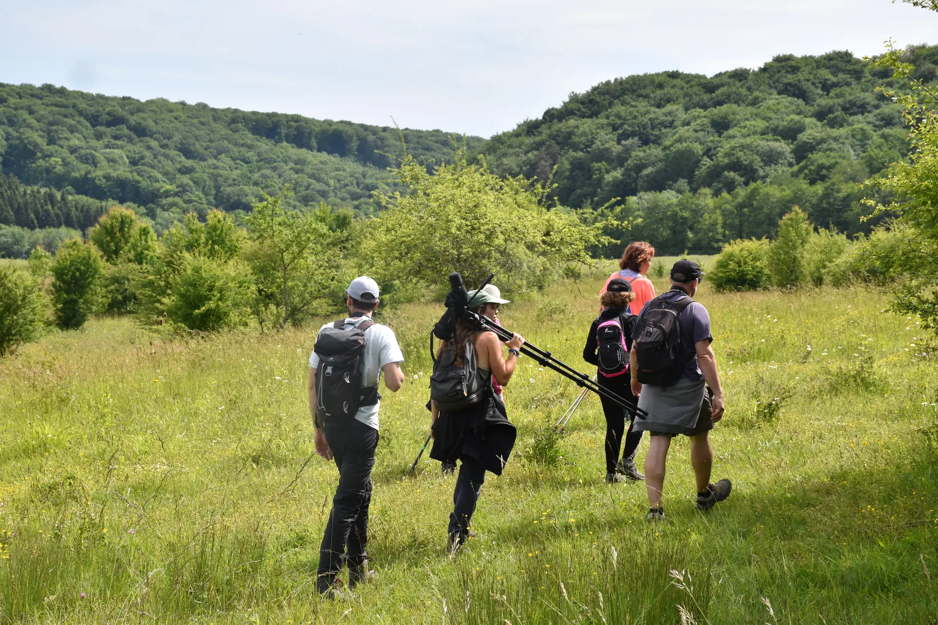 Randonneurs Fontenelay