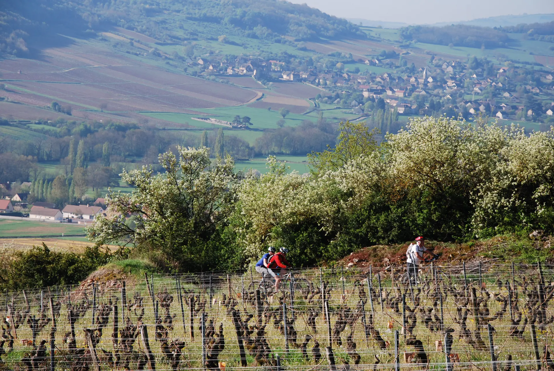 25e Randonnée les Amis d'Albert