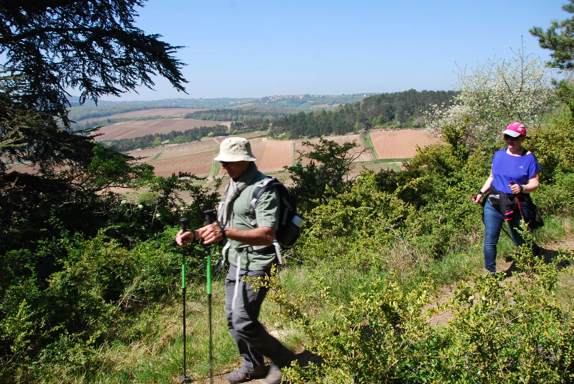 25e Randonnée les Amis d'Albert