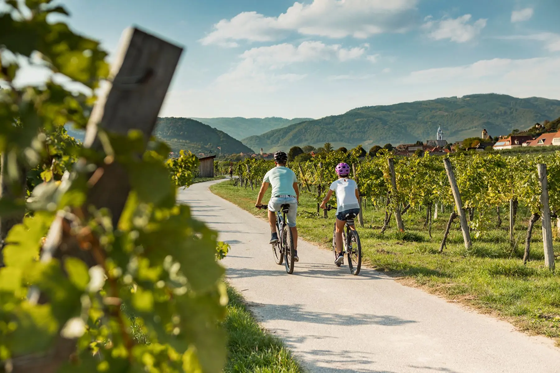 balade à vélo en famille