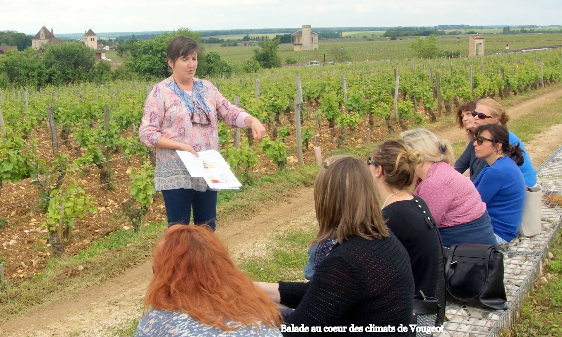 balade -découverte -dans la-vigne