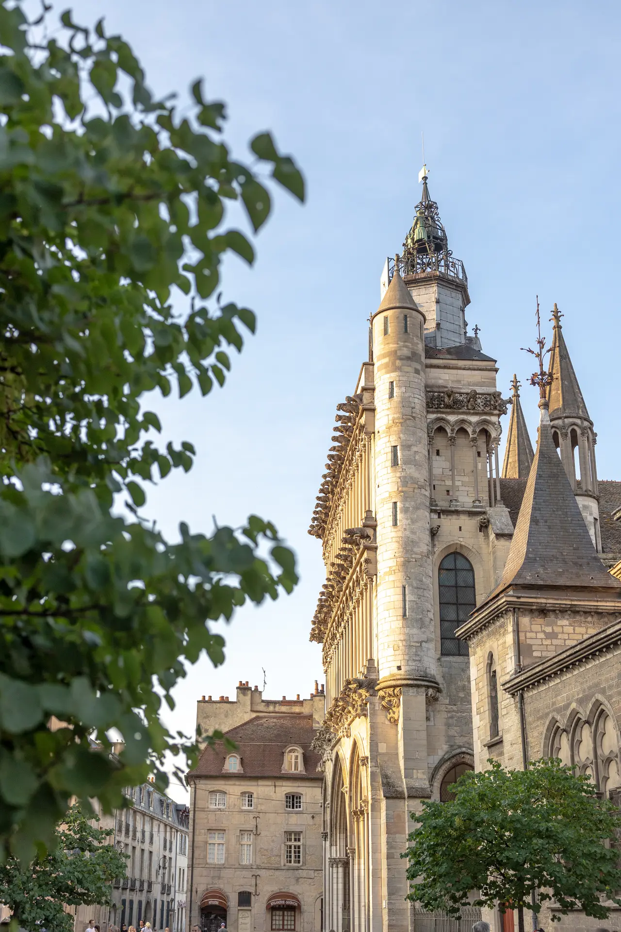 Dijon Découverte - DestinationDijon-Place_Notre-Dame-_laure.dns-5711