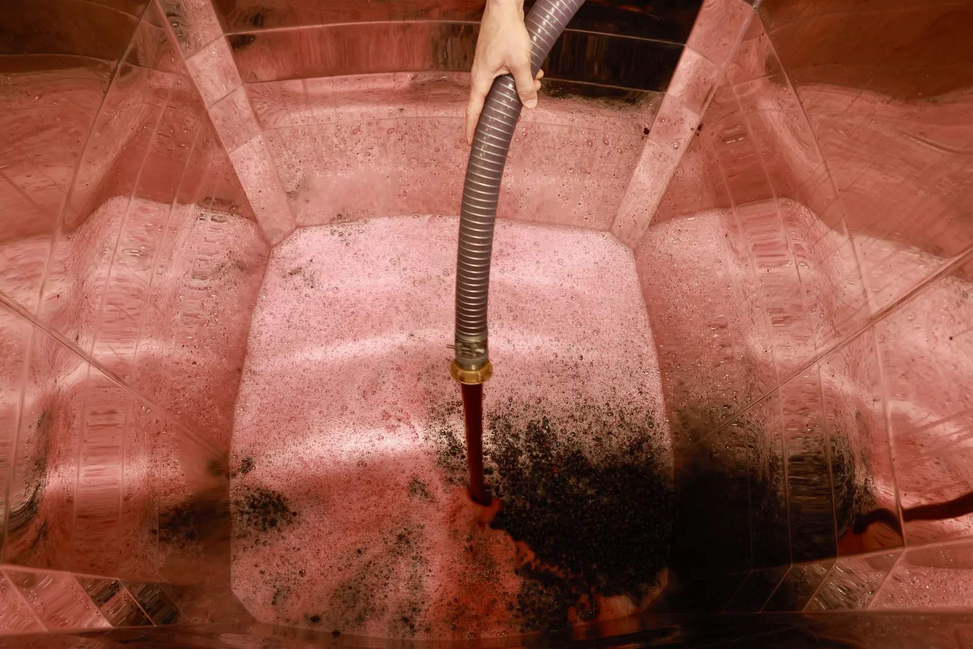 Expérience Vendanges 2026