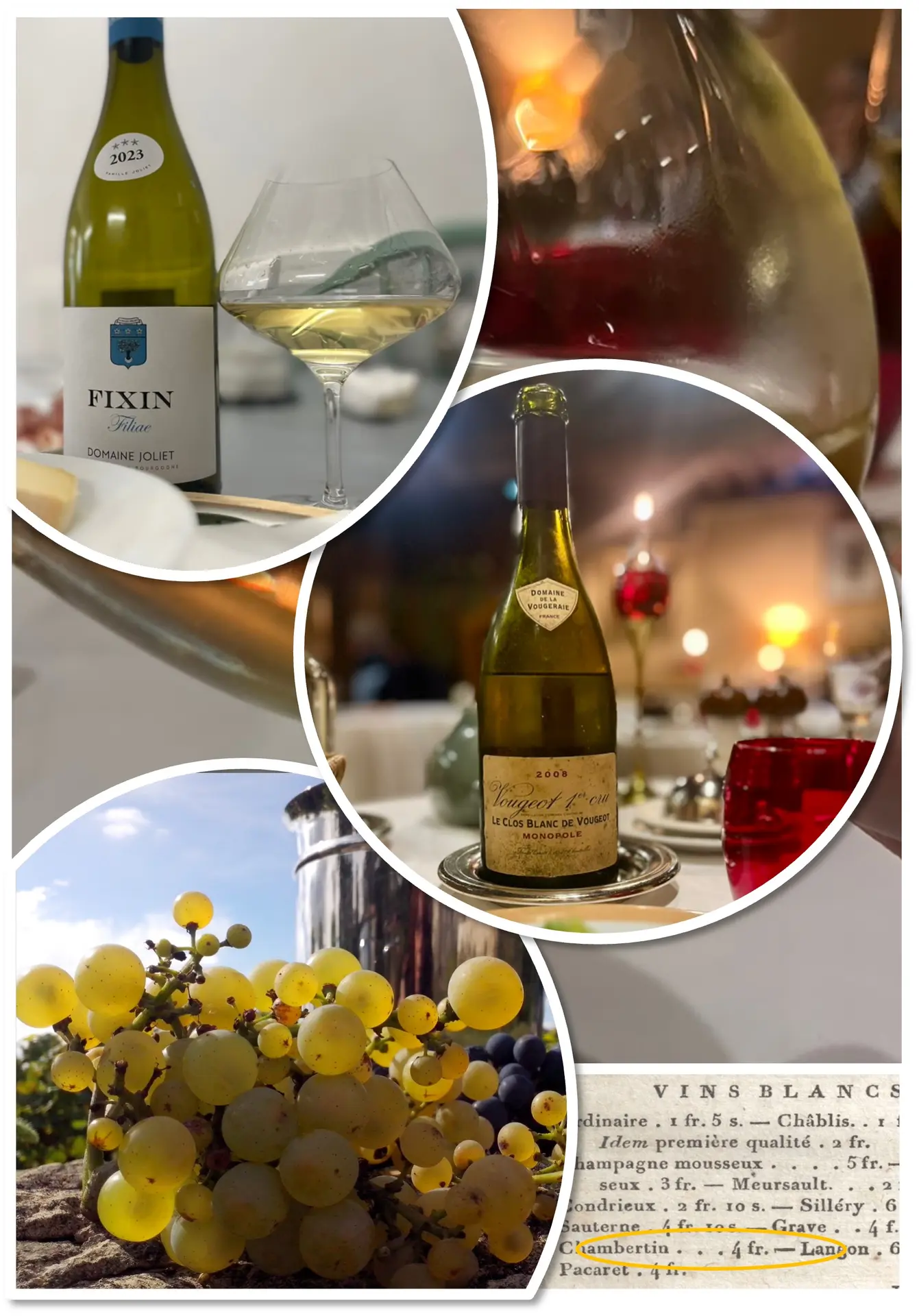 Expérience oenohistorique : Les vins blancs de la Côte de Nuits
