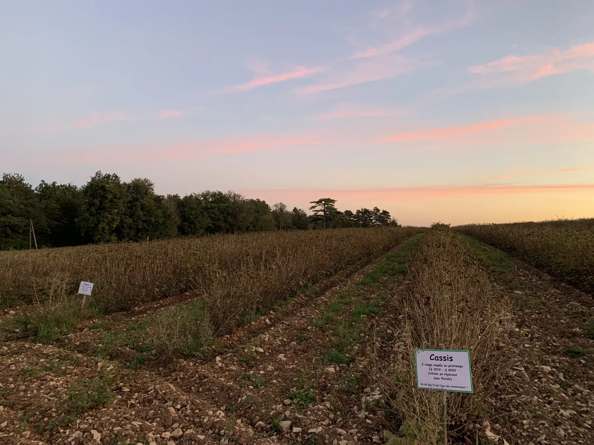 Ferme-Fruirouge-22-septembre-2021 (2)
