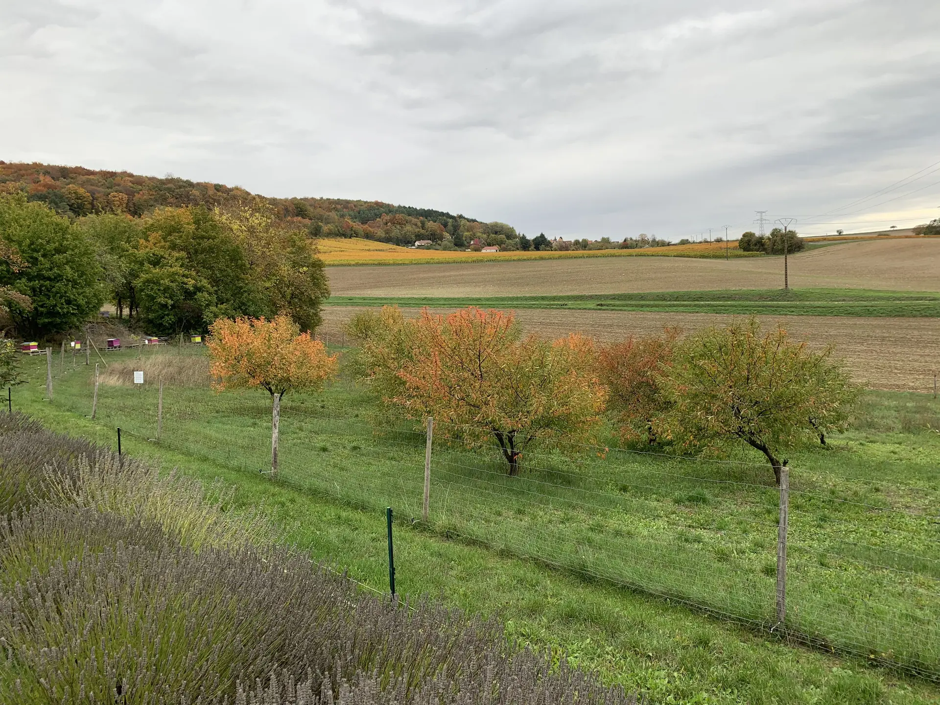 Ferme-Fruirouge-Automne-2020 (4)