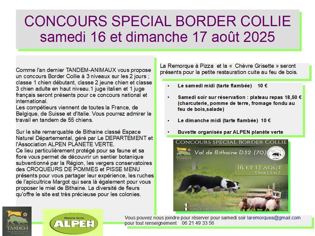 Flyer Concours Border Collie