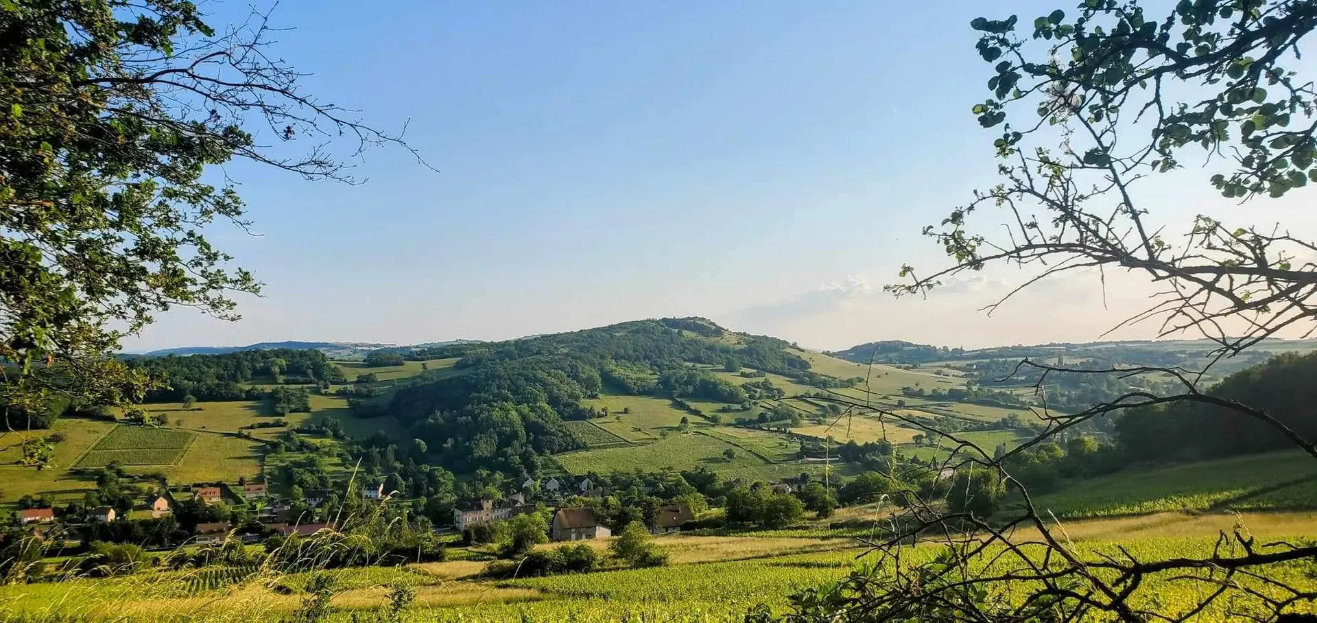 Arrivée sur vigne