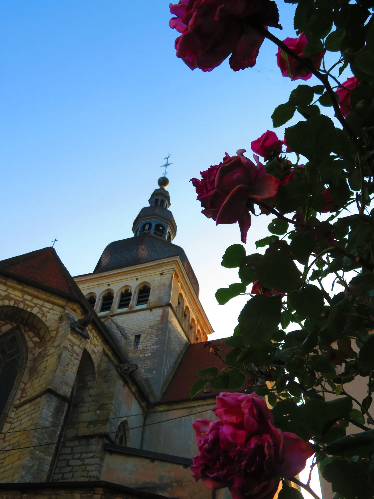 Basilique