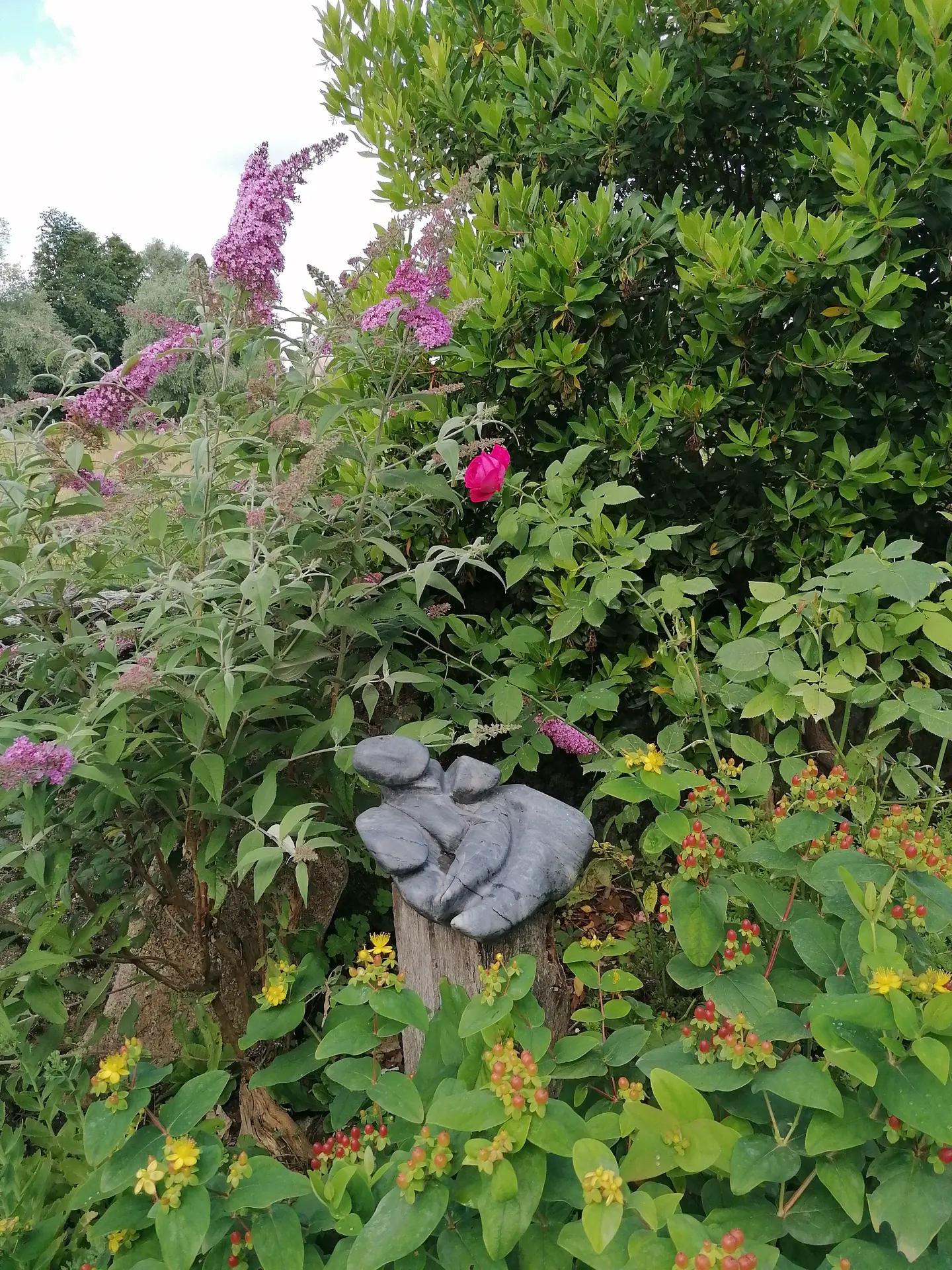 Jardin de Rina Van Gelder