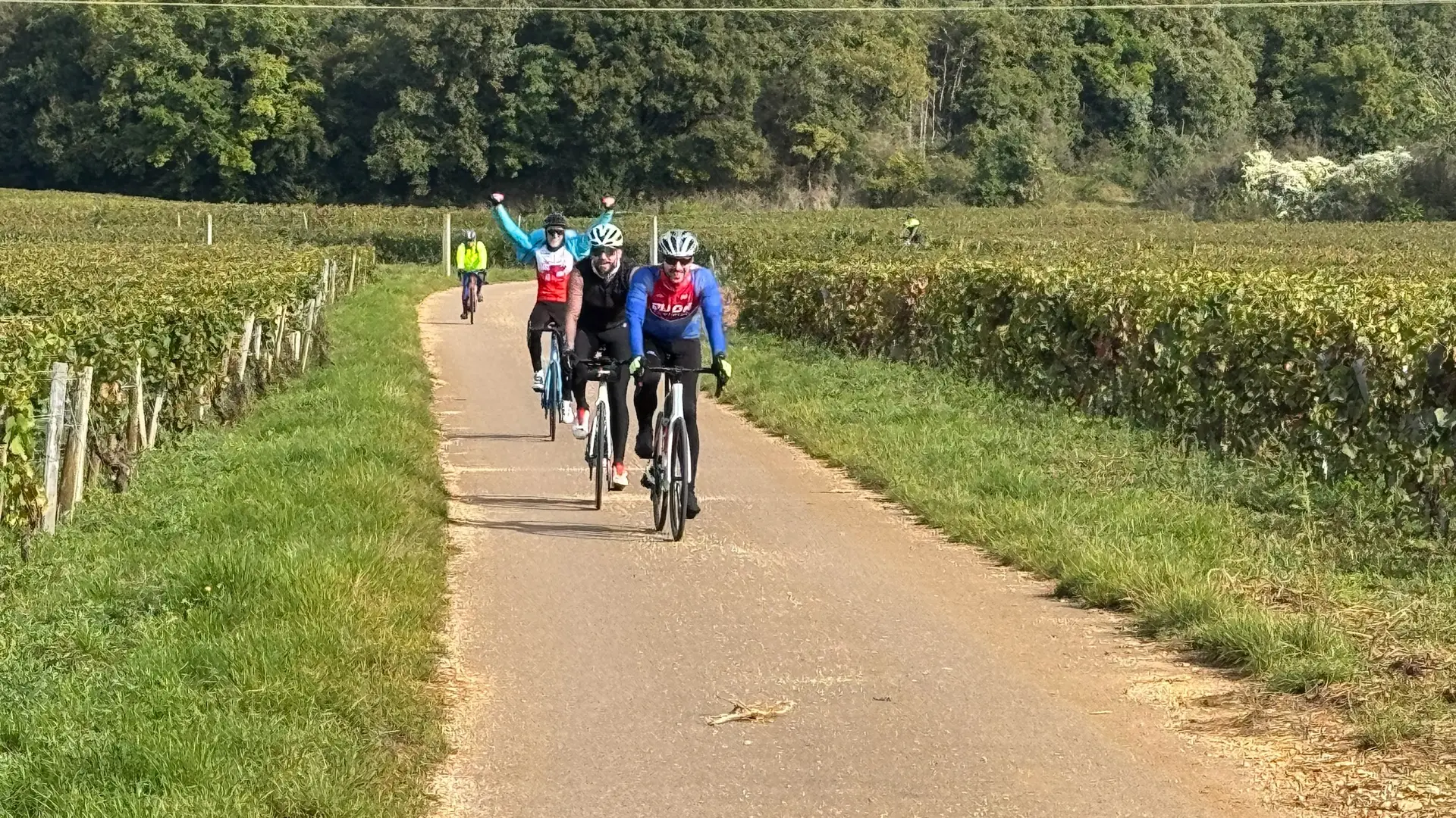 2024-09-29_route_dans_les_vignes