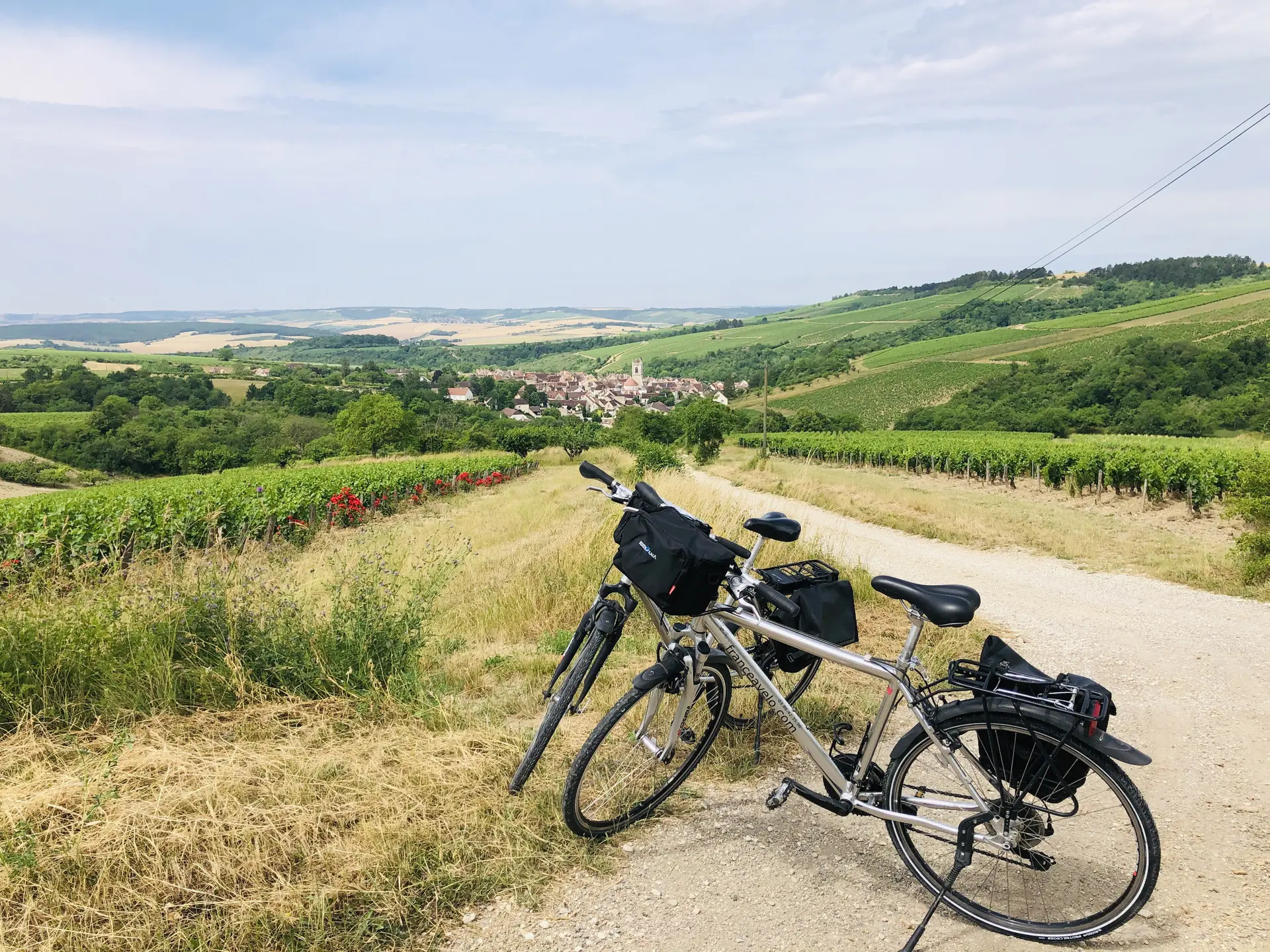 Vignobles Chablis