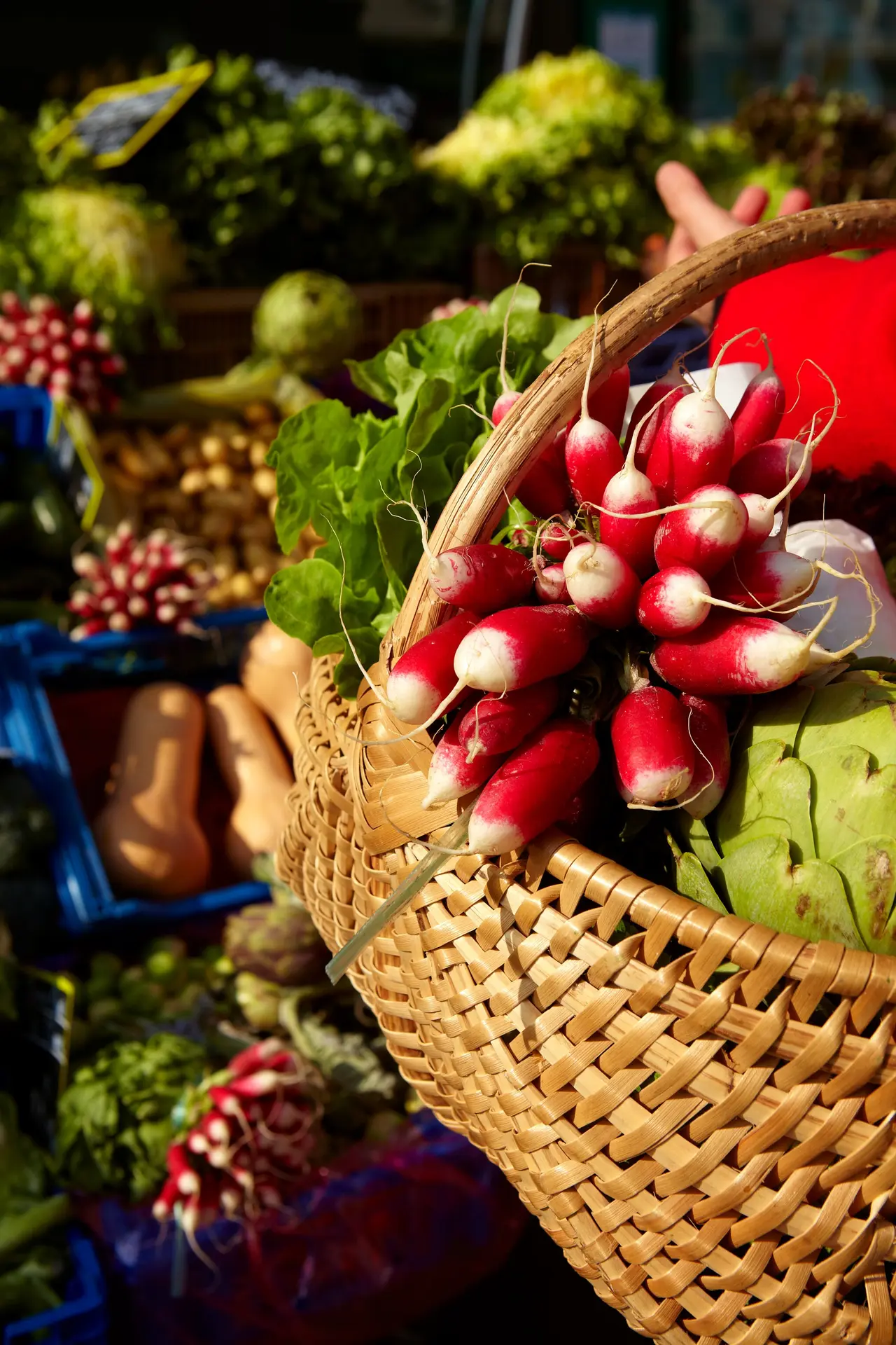 Panier et légumes