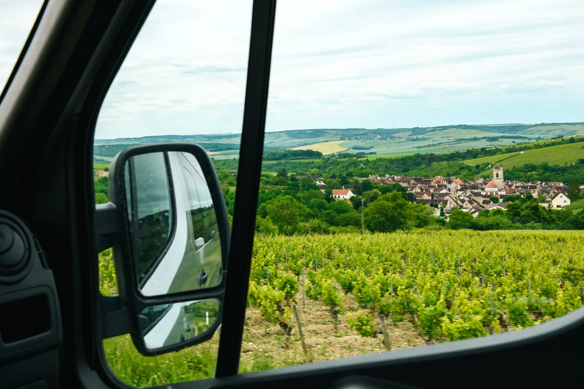 Oenobus ©Kim_Rasmussen