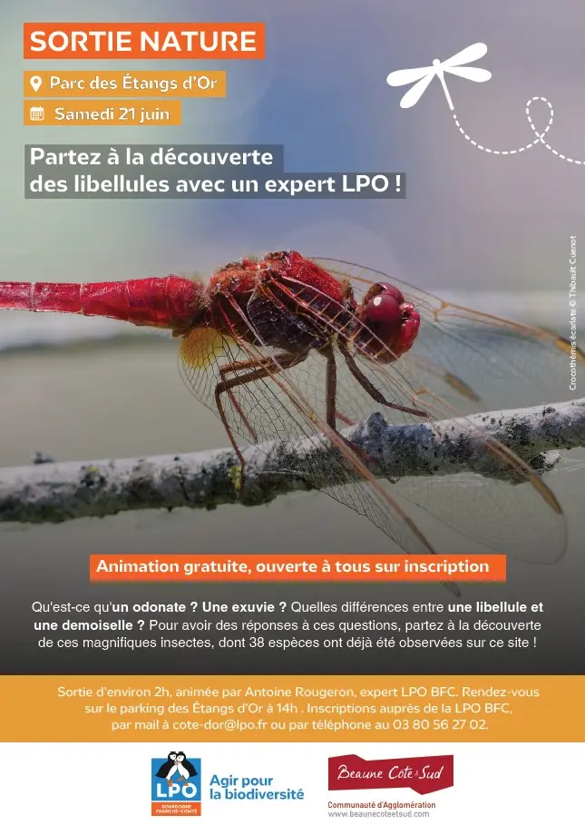 LPO aux étangs d'or