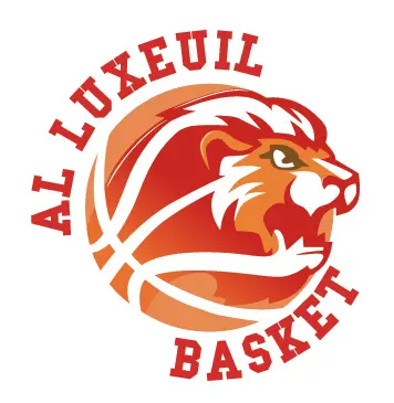 Logo officiel ALL basket 04 12 2013