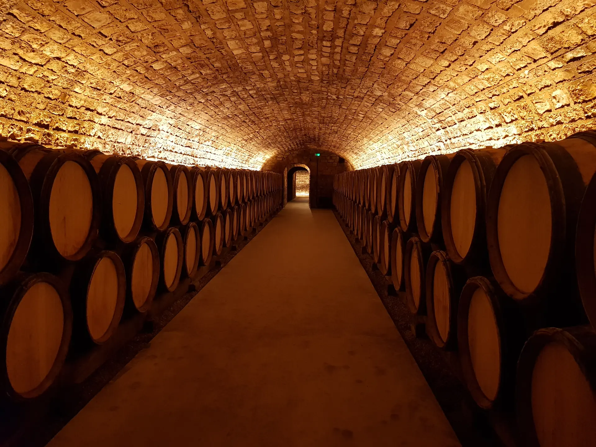 La Grande Cave Vougeot4- BOISSET La Famille des Grands Vins