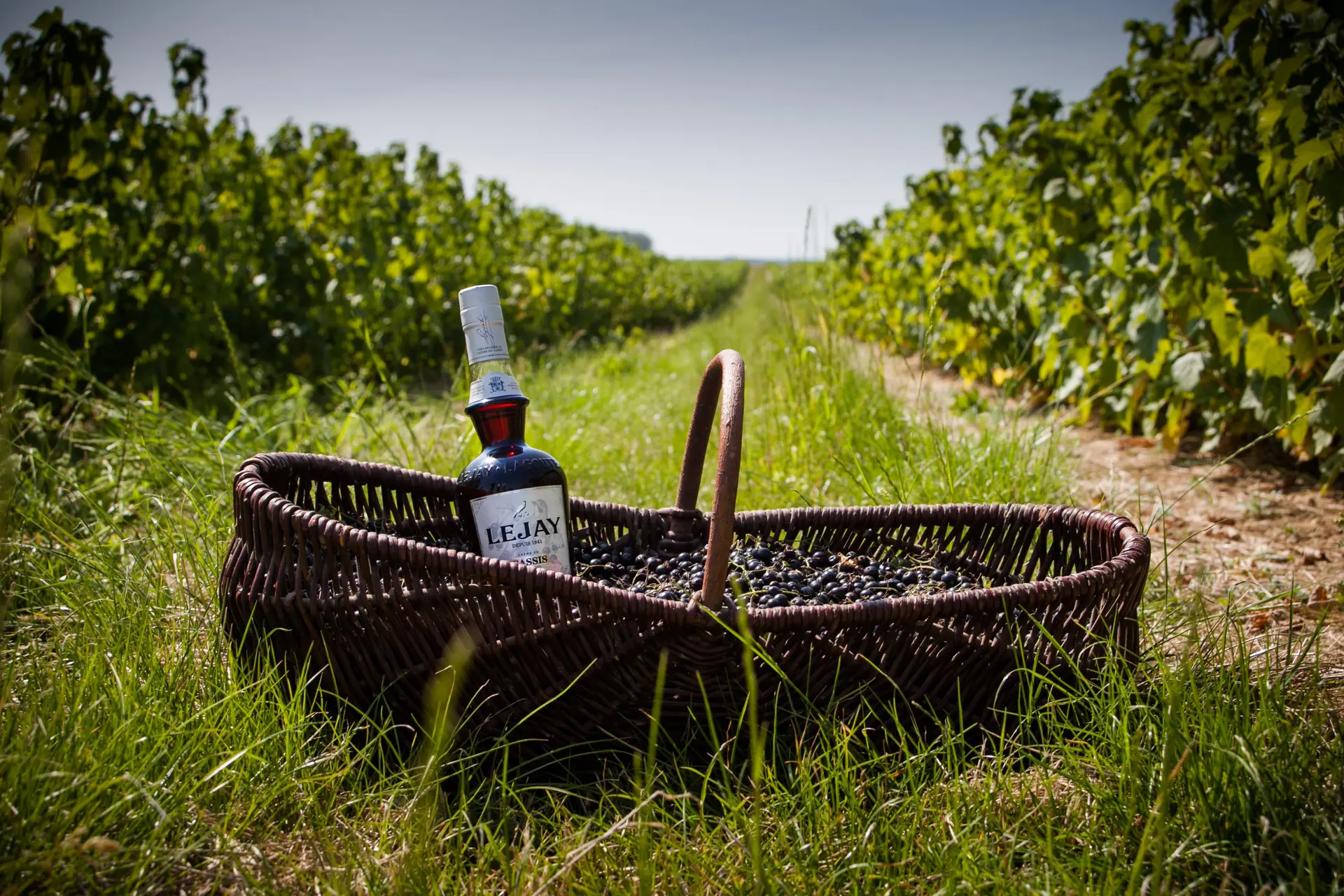 Lejay Lagoute 142 HD