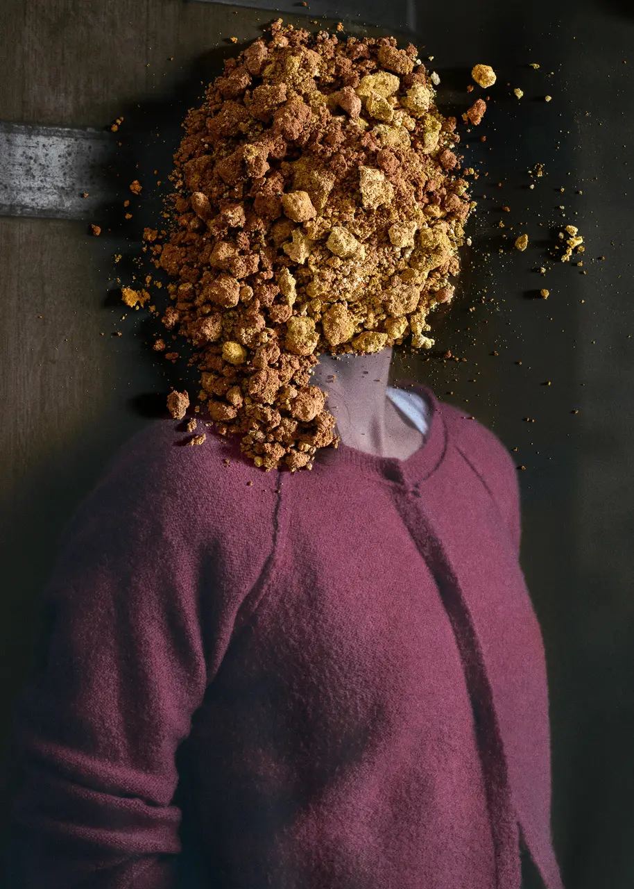 Mme Ferrugineuse-1