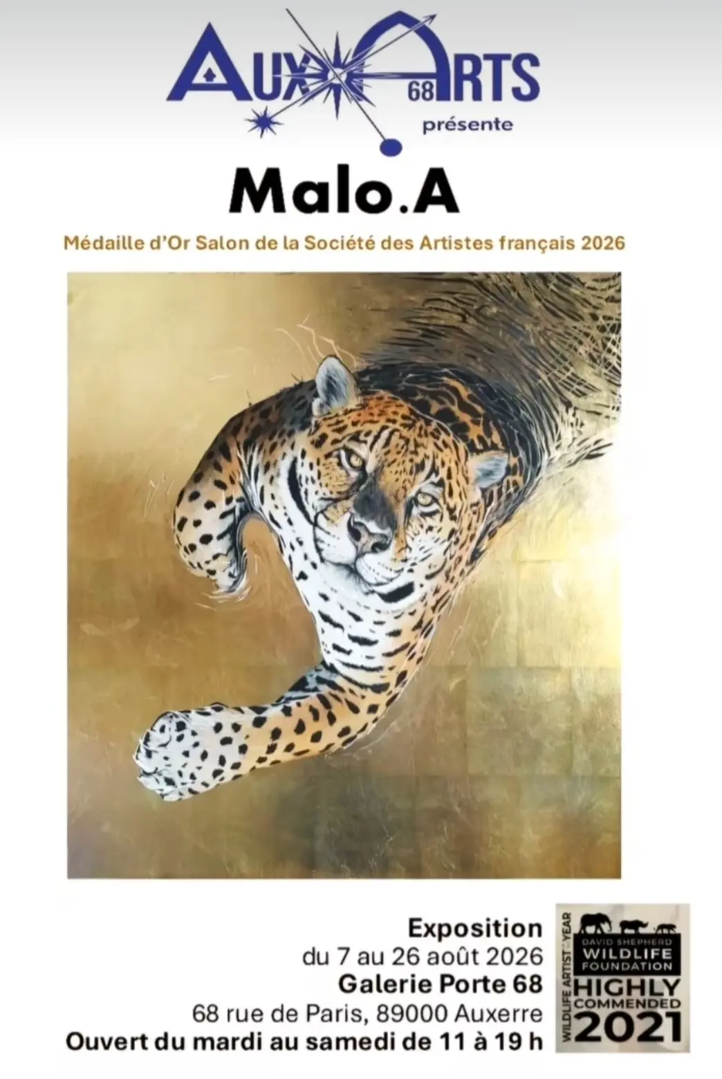Malo A photo expo