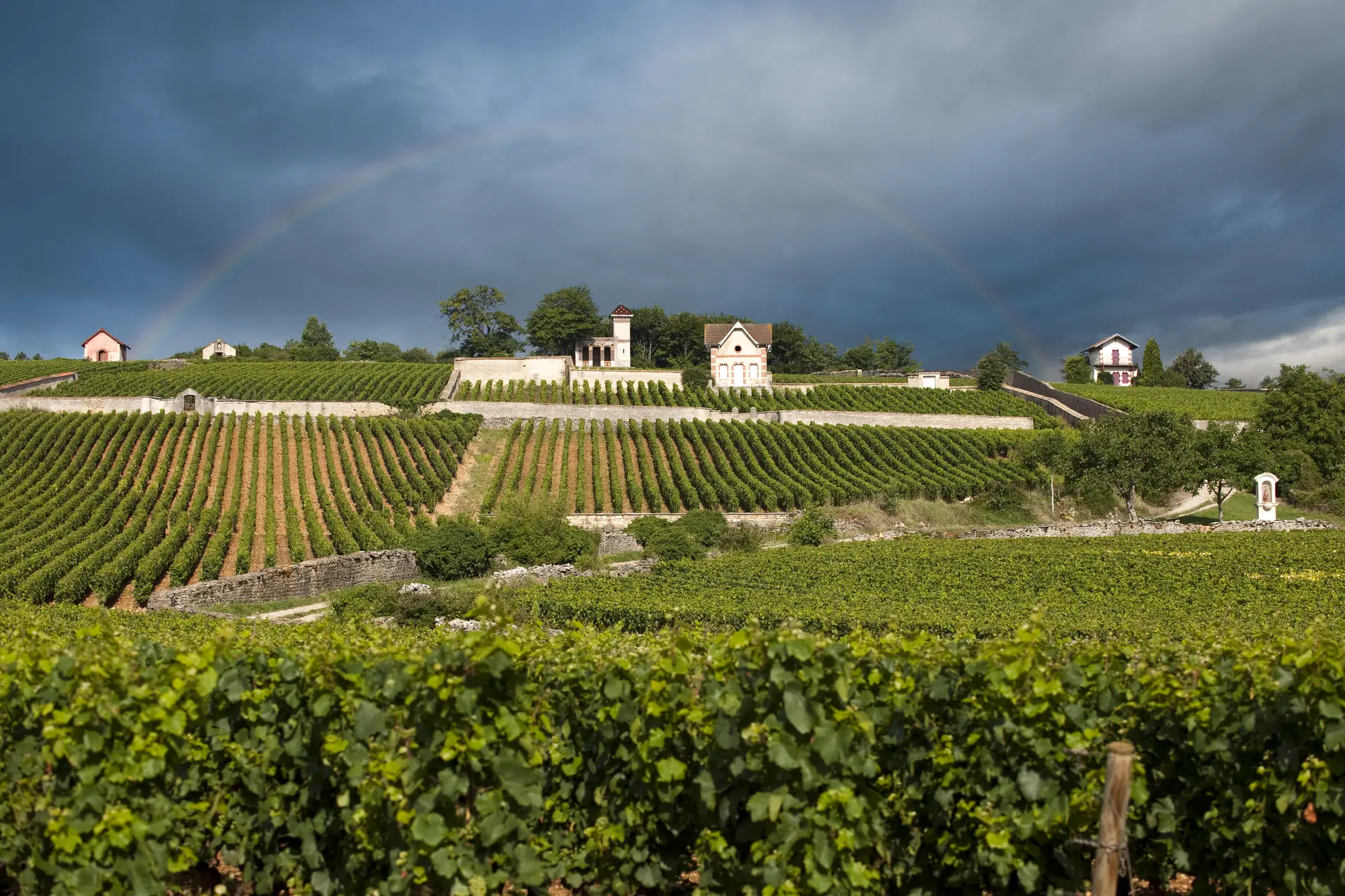 Meursault Arc-en-ciel