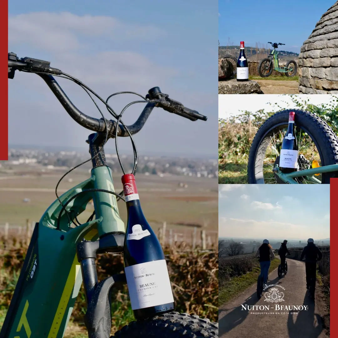 Expérience immersive dans le vignoble en trottinette éléctrique