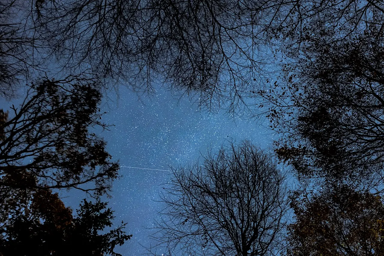 Night_Sky_(Ipernity-47666372)