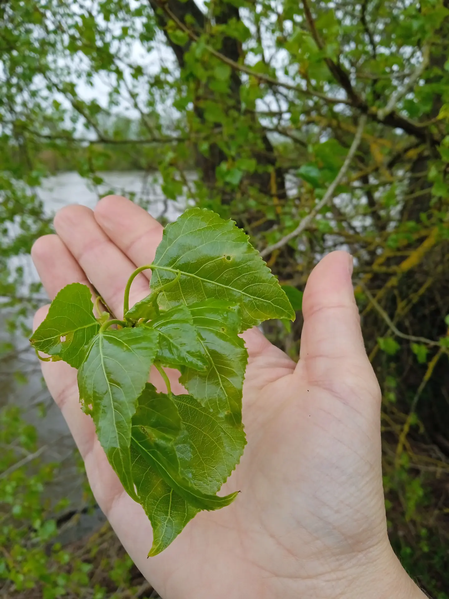 Photo4 Sortie Joelle GANTER