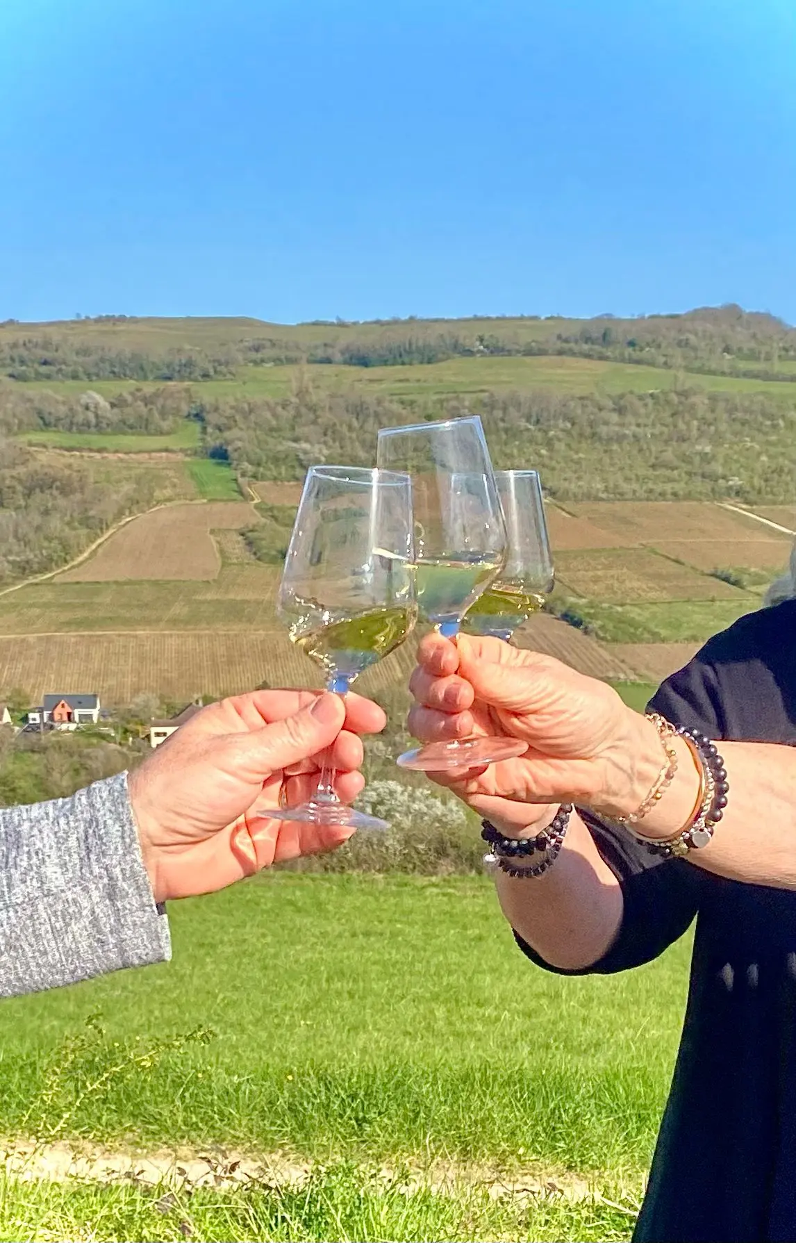 Verres Visite 360°