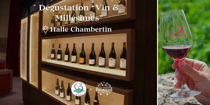 Billetteries Halle - Vin & Millésimes
