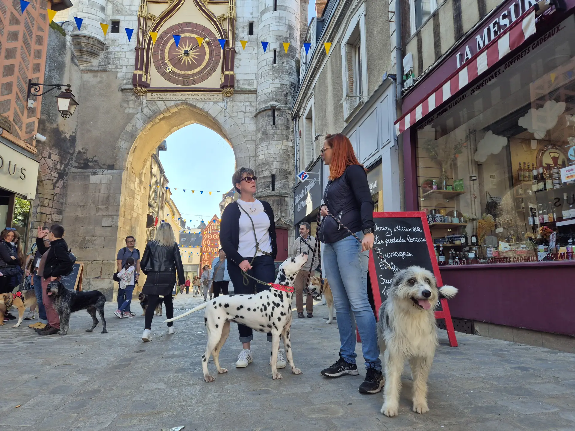 Visite canine©Sarah_Preston
