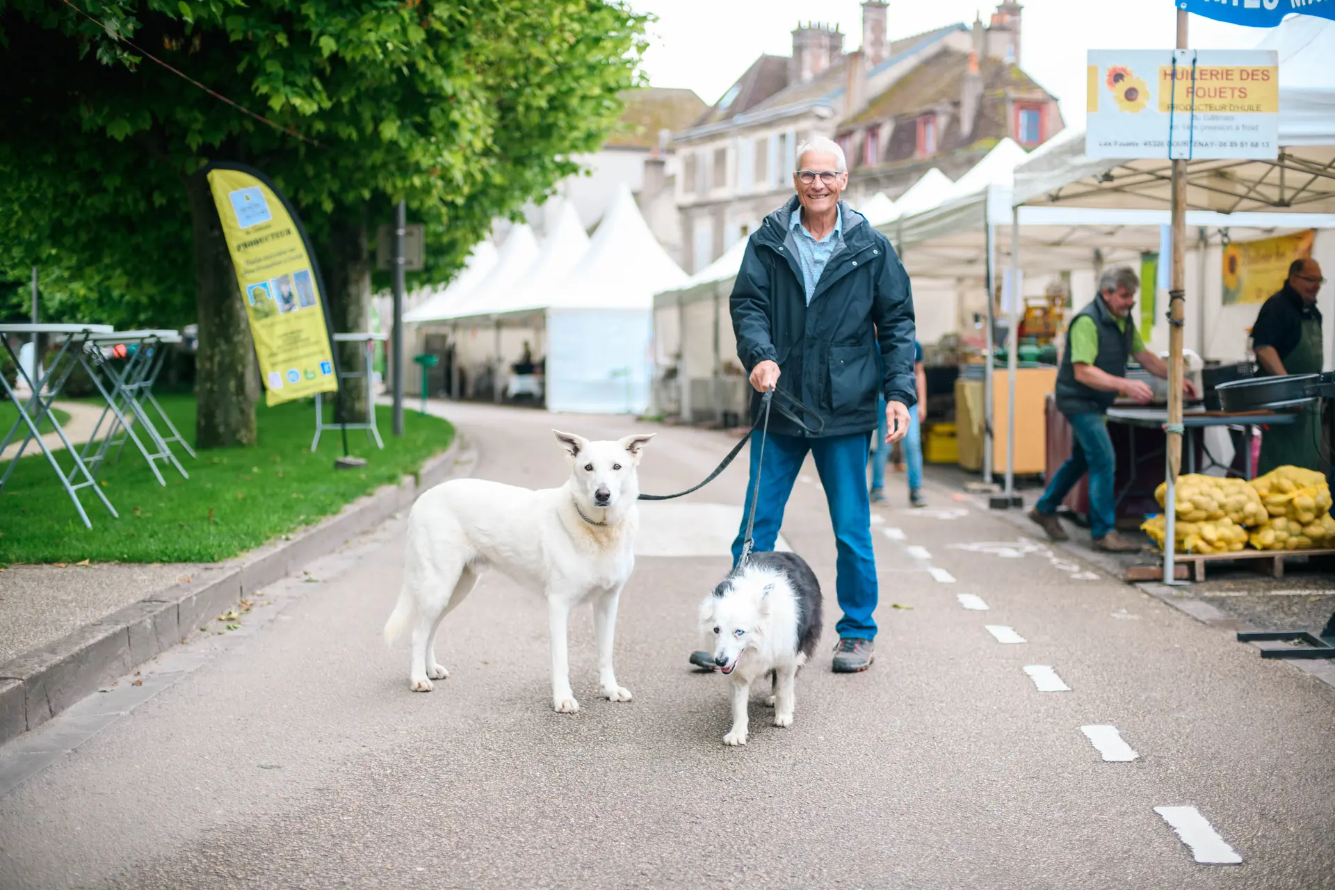 Visite chien