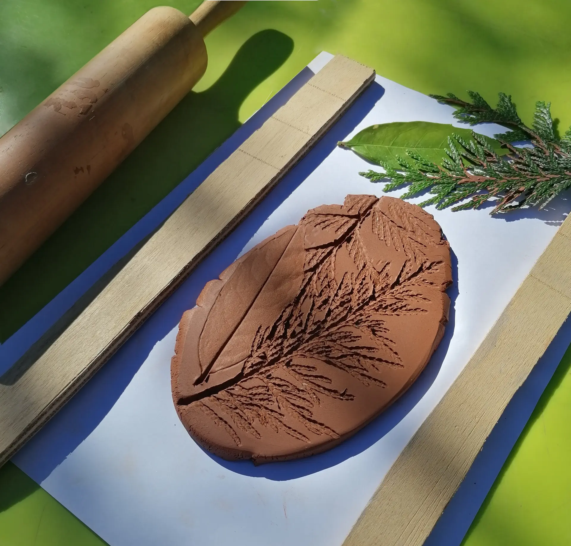 Visuel atelier famille Mémoire de feuilles