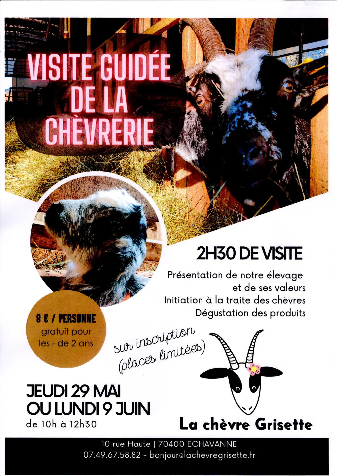 chèvre