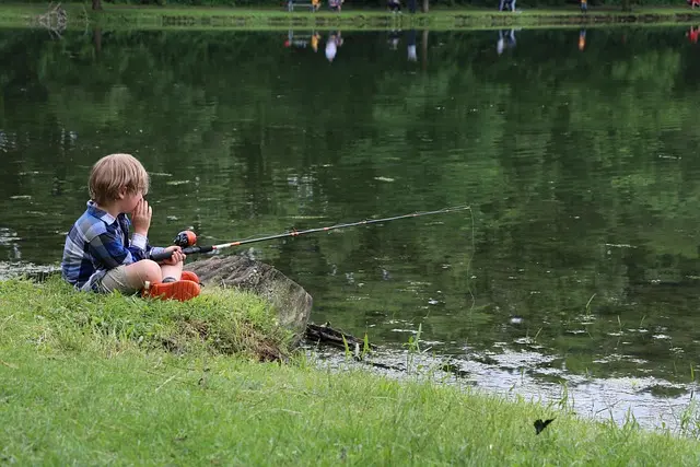child-fishing-3867994_640