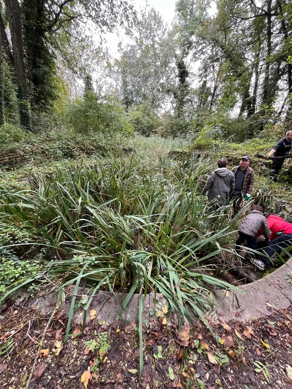 bassin rond avant 2 - 12.10.2024 - Arborescence